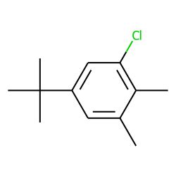 Benzene Chloro 1 2 Dimethyl 4 1 1 Dimethylethyl Chemical