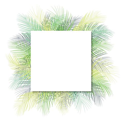 Tropical Green Palm Leaves With White Frame Place For Text Isolated On