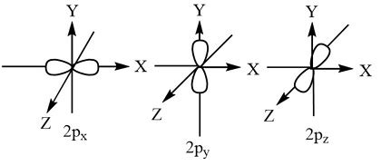 Draw and explain the basic shape of each of the p orbitals. | Homework ...