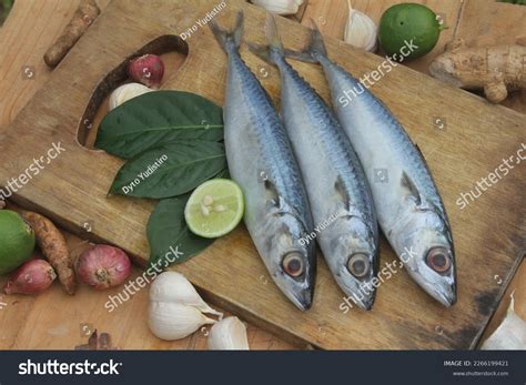 Mackerel Fish One Many Types Fish Stock Photo 2266199421 | Shutterstock