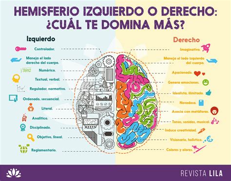 Funciones De Los Hemisferios Cerebrales Mind Map Images