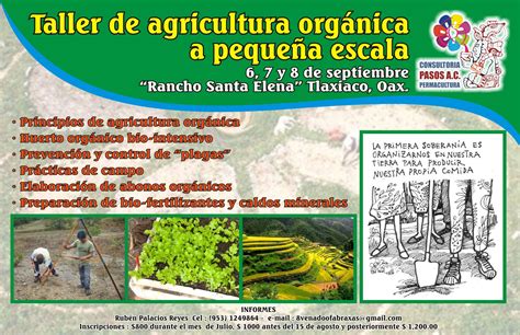 Taller De Agricultura Orgánica A Pequeña Escala