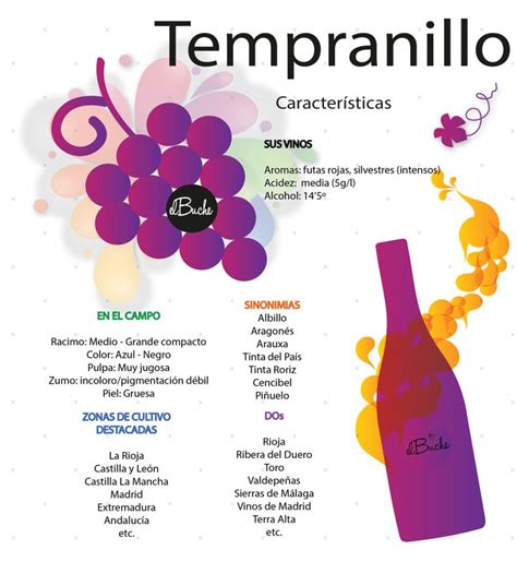 Va De Uvas Tempranillo Uvas Para Vino Vinos Y Quesos Uvas