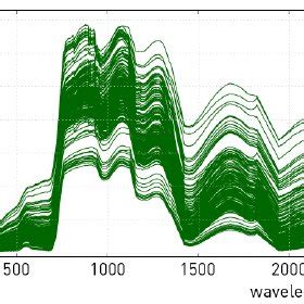 Canopy Variations All Simulated Reflectance Spectra Of Different