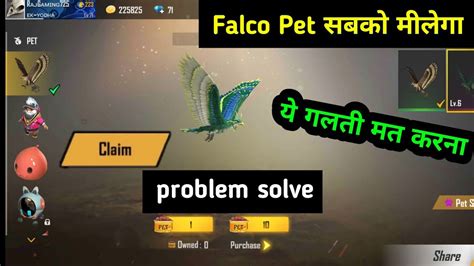 Falco Pet How To Solve This Problem How To Receive