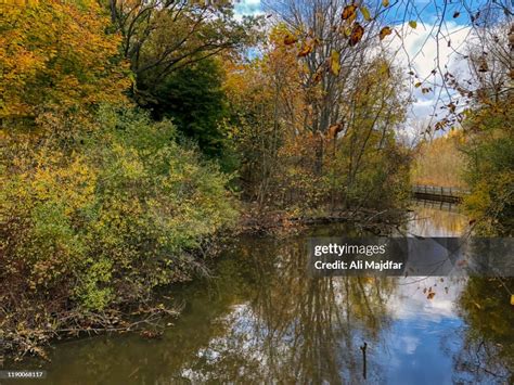 Autumn Leaf Colors High-Res Stock Photo - Getty Images