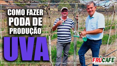 Como Fazer Poda De Produ O Na Videira Uva Devanir Ziviani