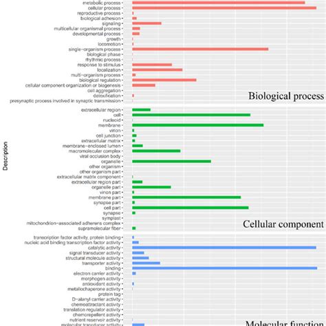 Gene Ontology Go Classification Analysis Numbers Of Matched Unigenes