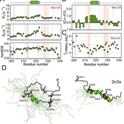 Meto Pld Forms Distinct Fibrillar Aggregates A Amyloid Aggregation