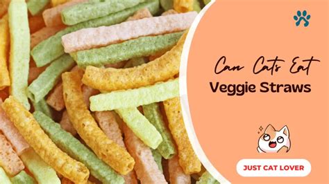 Can Cats Eat Veggie Straws The Answer May Surprise You