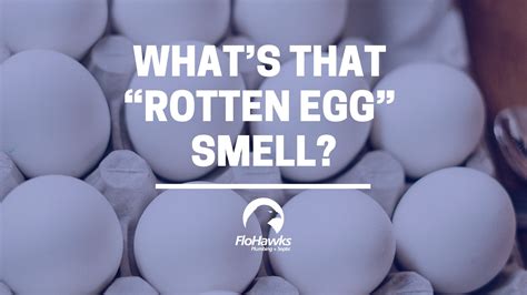 What’s That “Rotten Egg” Smell? - FloHawks Plumbing + Septic