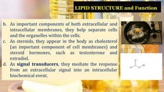 Lipids | PPT