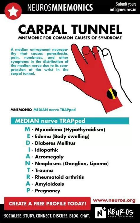 Pin By Милана Пузовић On Medical Medical Mnemonics Carpal Tunnel