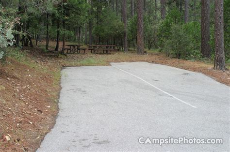 Cedar Bluff Campsite Photos Campground Availability Alerts