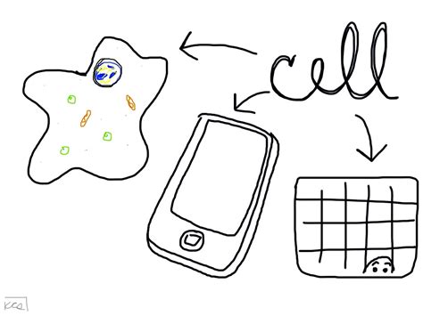 Say what? science: Cells - Scienceline