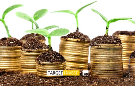 Como Funciona Um Fundo De Renda Fixa Descubra Target Invest