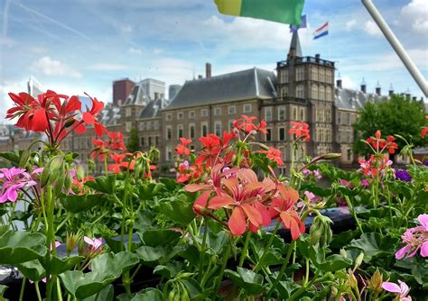 Tempat Wisata Terbaik Di Den Haag Belanda Ku Disini