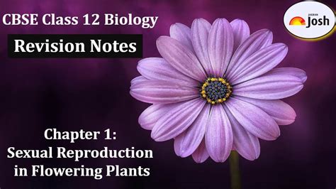 Cbse Class 12 Biology Sexual Reproduction In Flowering Plants Revision Notes For 2023 24 Based