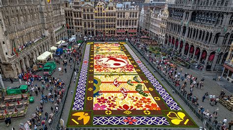 600,000 blooms form flower carpet at brussels' grand place