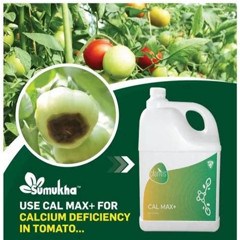 Plantis Cal Max Cao At Best Price In Hosur By Sumukha Farm