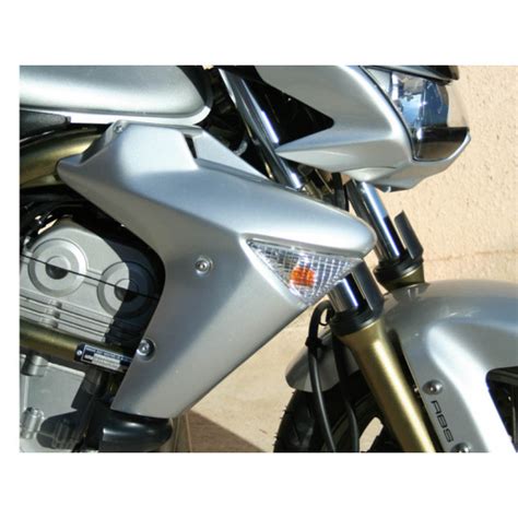 Paire Ecopes Radiateur Adaptable Kawasaki Er