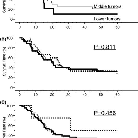 Overall Survival Curves Of Patients With Lymph Node Metastases