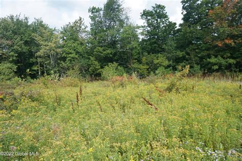 10 85 Acres In Schoharie County New York