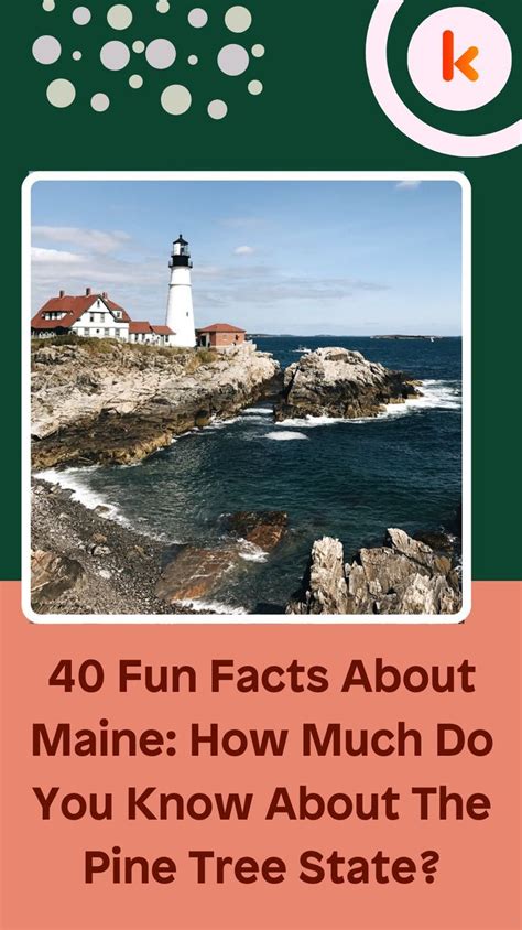 40 Fun Facts About Maine: How Much Do You Know About The Pine Tree ...