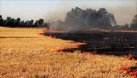 Sin quemas agrícolas mayores rendimientos Secretaría de Agricultura