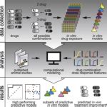 Publications Bree Aldridge Lab Tufts University