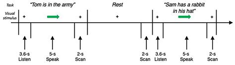 Frontiers Sexual Dimorphism Within Brain Regions Controlling Speech