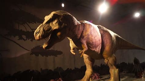 Tyrannosaurus Rex Natural History Museum South Kensington London Youtube