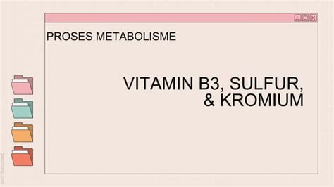 Proses Metabolisme Vitamin Ppt