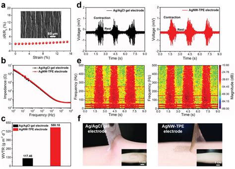 Ultrathin Biopotential Electrodes For Human Electromyogram Recording