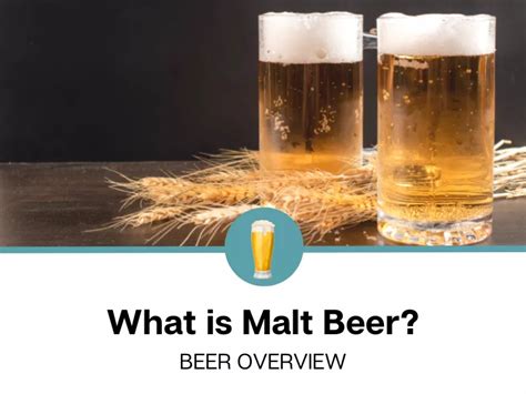 What is Malt Beer?