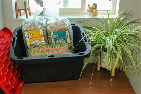 hay storage keeping  small pets hay fresh  tasty