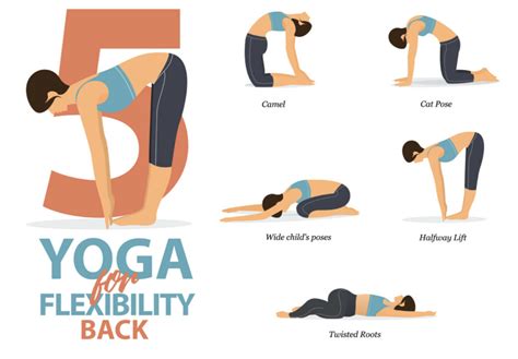 Infographic Yoga Poses To Relieve Lower Back Pain Vector Image