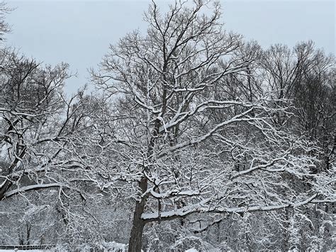 First Measurable Snow Of The 20222023 Snow Season In New Flickr