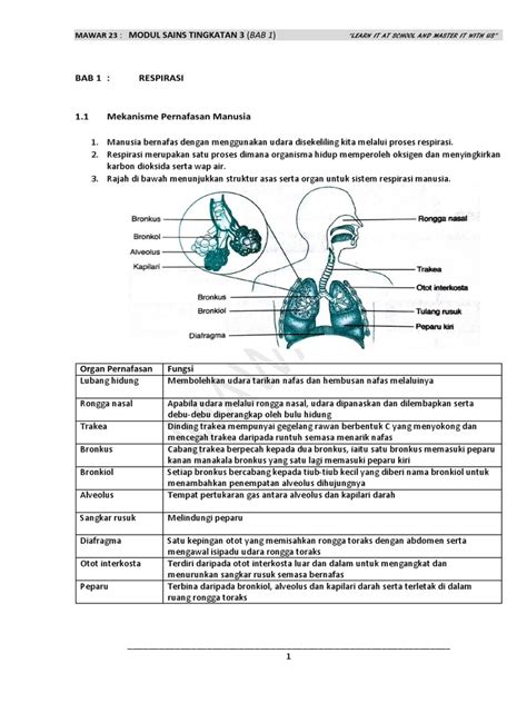 Modul Sains Tingkatan 3 Bab 1 Pdf