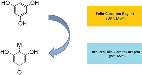 Principle of Folin–Ciocalteu method (Ford et al. 2019) | Download Scientific Diagram