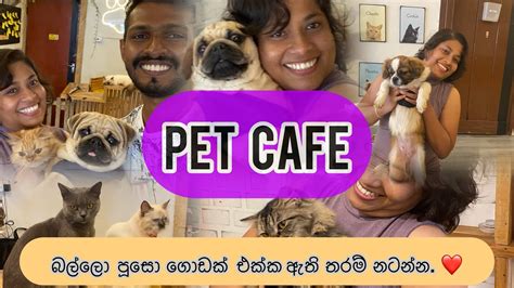 Come And Join With Us To Experience The Sri Lankas One And Only Pet