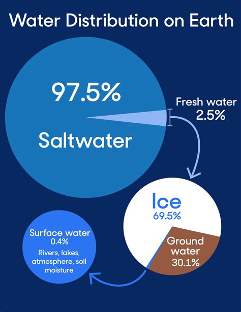 What's The Percentage Of Water On Earth 4