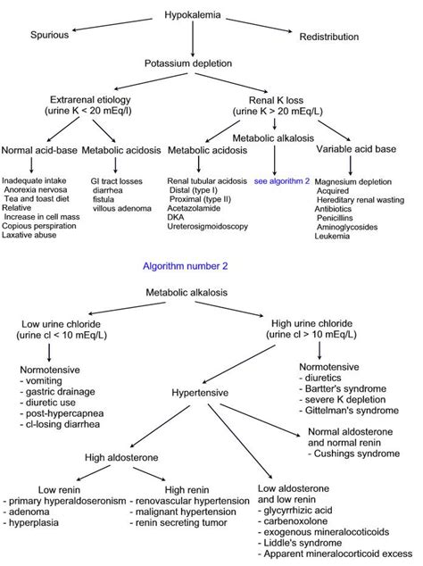 Hypokalemia Causes Symptoms Treatment Hypokalemia