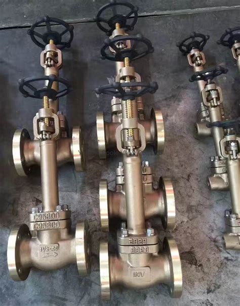 Brass Aluminum Bronze Gunmetal Material Flanged Ends Globe Valve China Stainless Steel Globe