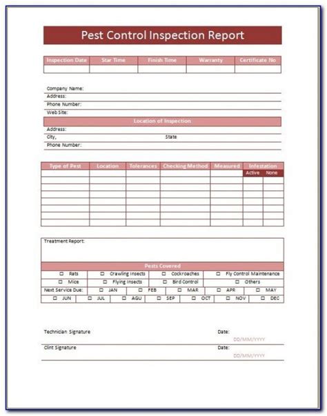 Costum Termite Inspection Report Template Doc Example Report Template