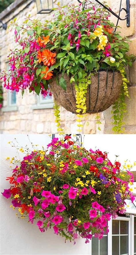 25 Creative Hanging Basket Designs