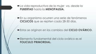 Ciclo Ov Rico Obstetricia Ppt