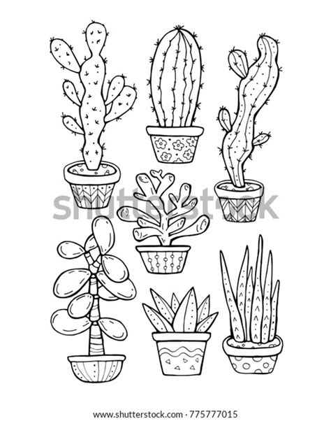 Succulent Cactus Pot Isolated Set Collection Stock Vector Royalty Free