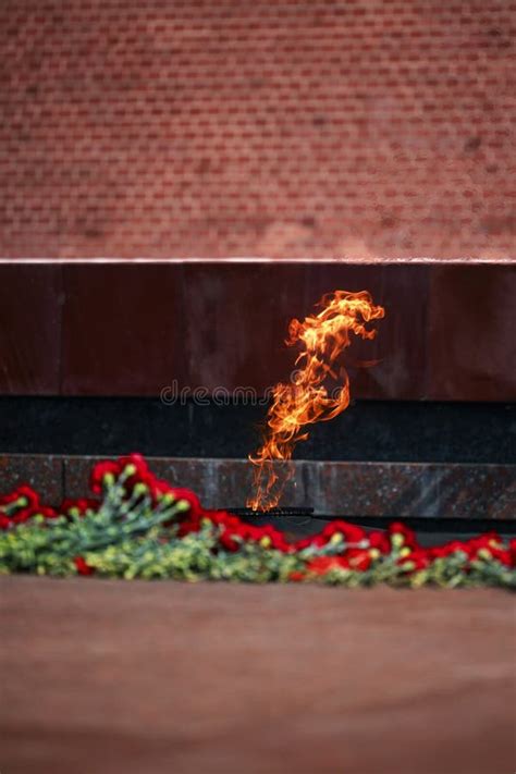 Flores Por La Llama Eterna Llama Eterna En El Kremlin Guardia De