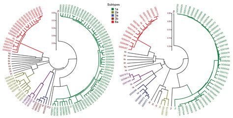 Comparison Of Three Different Hcv Genotyping Methods Core Ns B